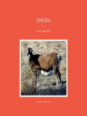 cover image of Enöra